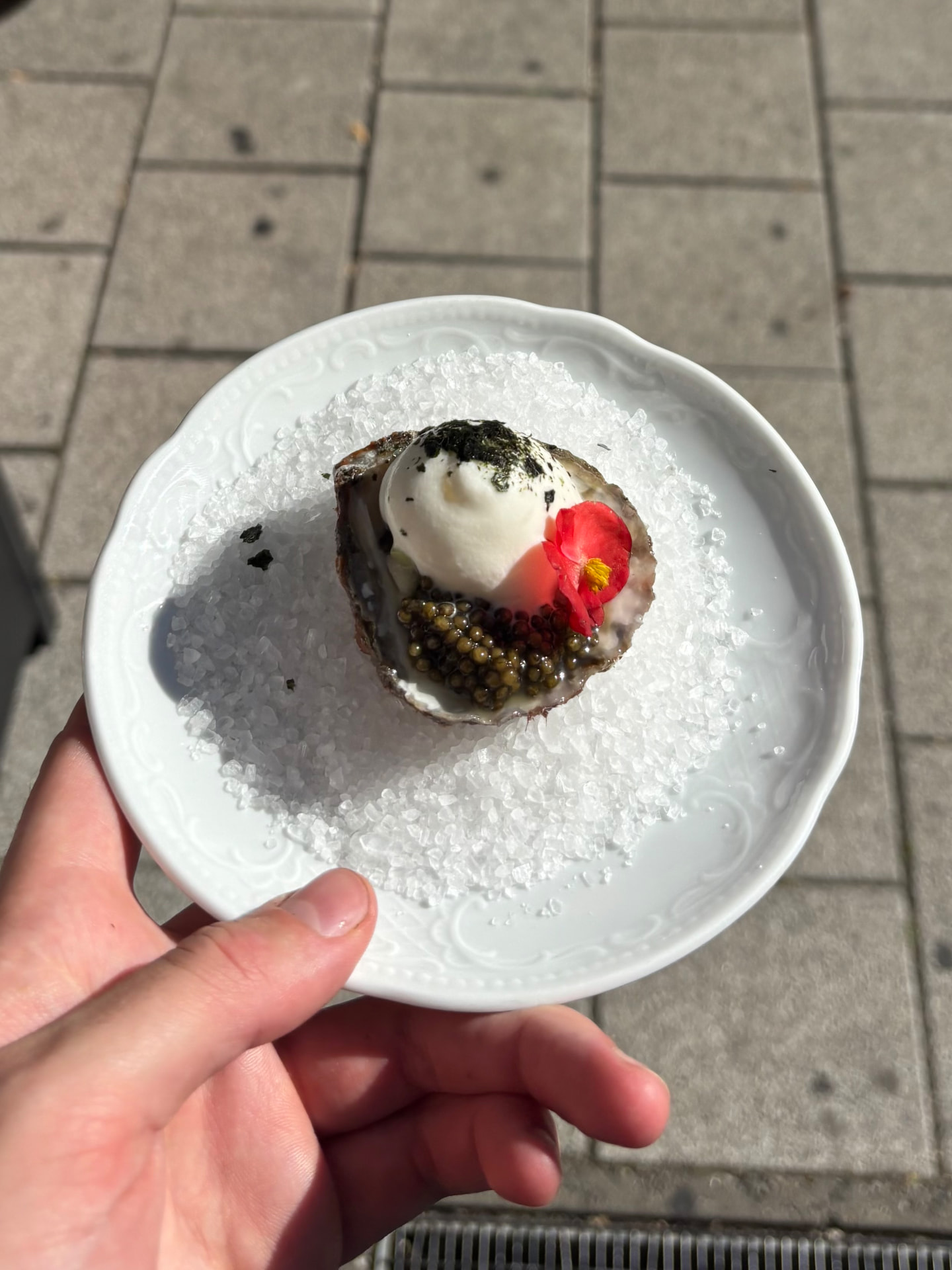 Pop-up Ulm – Foto 1